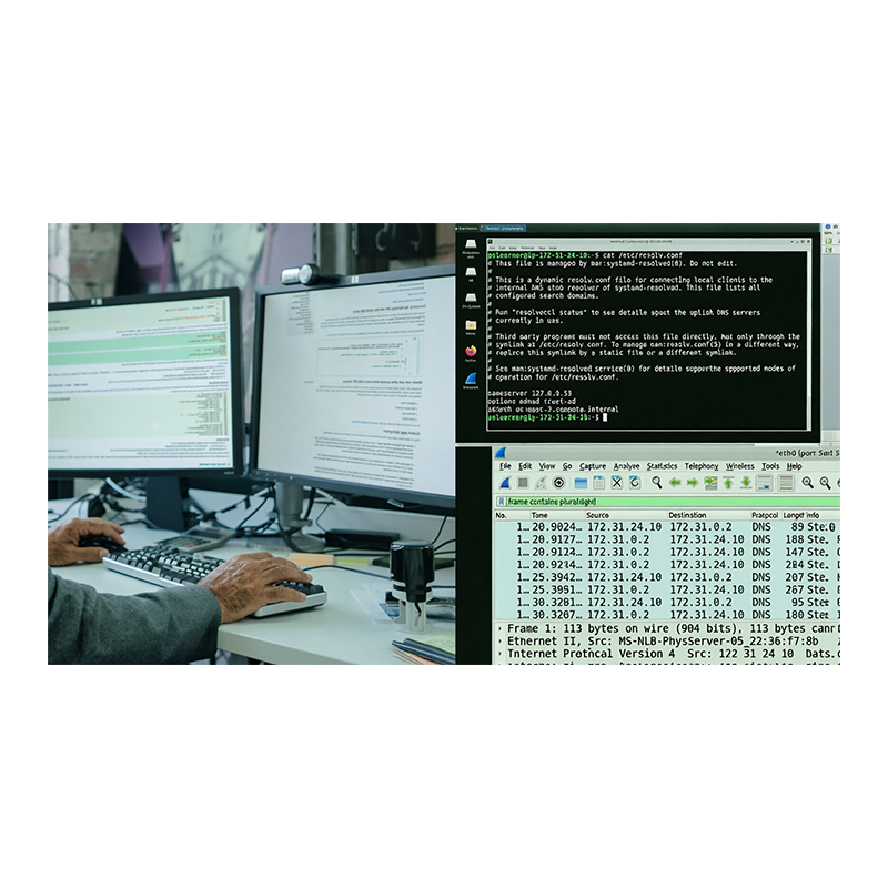 Network Protocols for Security: DNS