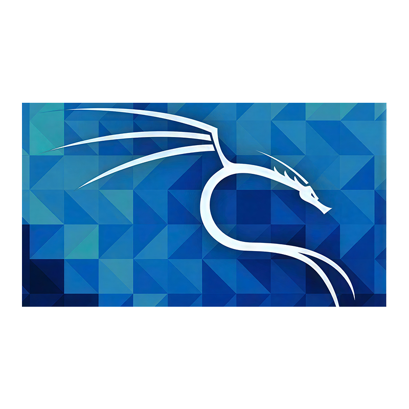 Advanced Ethical Hacking: Network-Web PenTesting-Part III_b