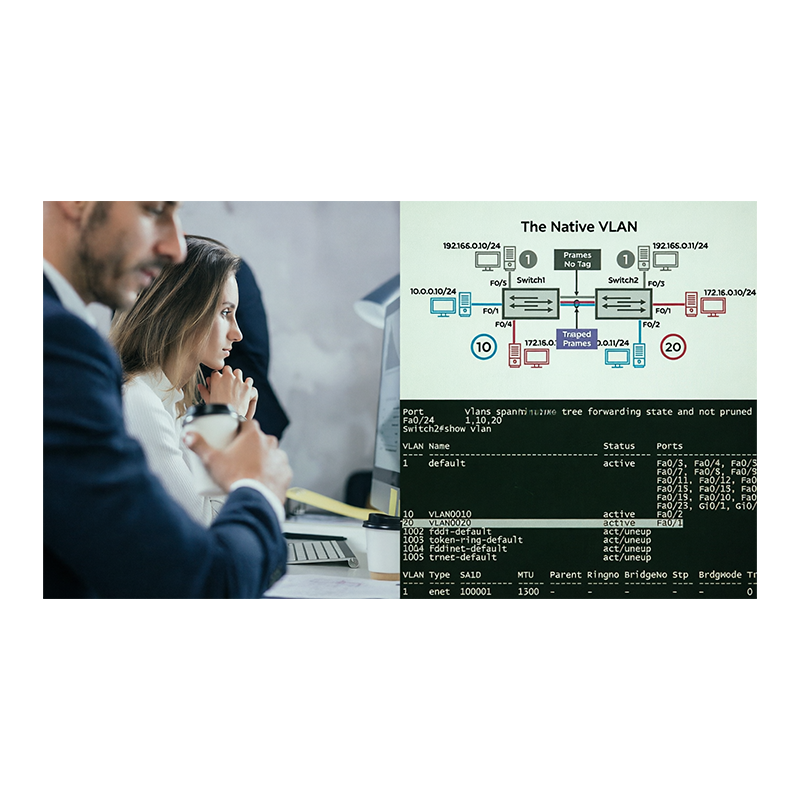Securing the Switch
